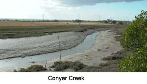 Conyer Creek