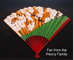 Fan Museum