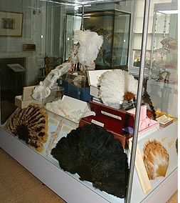 Fan Museum