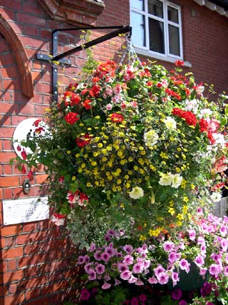 Flower basket, Salisbury
