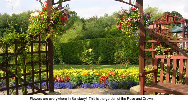 Rose Garden, Salisbury Rose and Crown