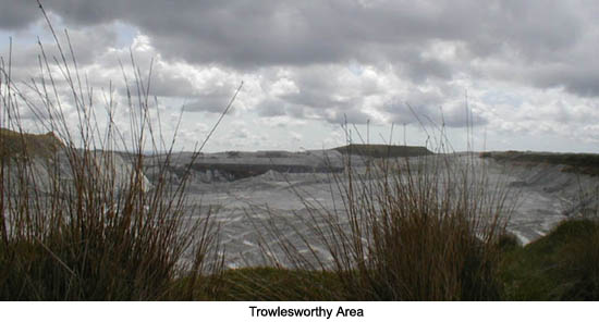 Trowlesworthy Area
Dartmoor