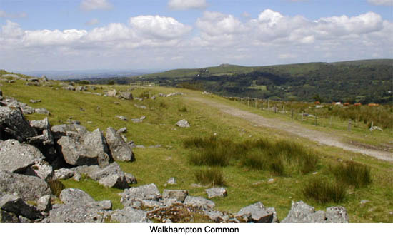 Walkhampton Common
Dartmoor