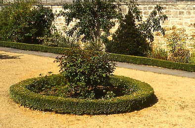 Georgian Garden