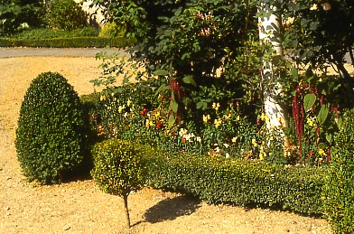 Georgian Garden