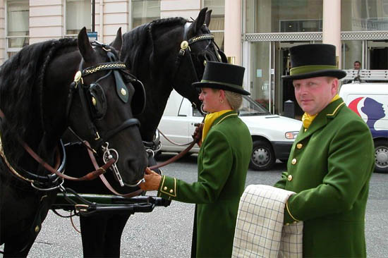 Westways Carriage Horses