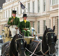 Westways Carriage Horses