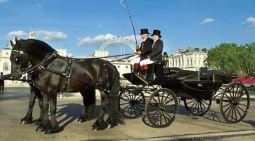 Westways Carriage Horses