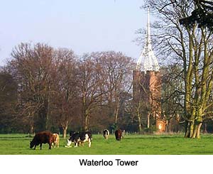 Waterloo Tower