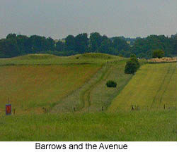 Stonehenge Barrows and Avenue