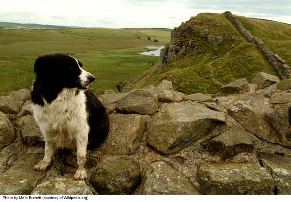 Hadrian's Wall