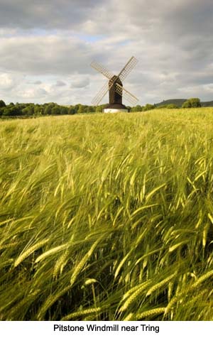 Pitstone Windmill near Tring