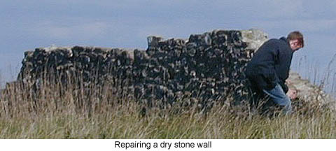 Repairing a Dry Stone Wall