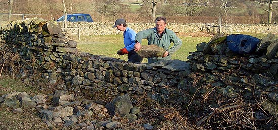 Mending a Dry Stone Wall