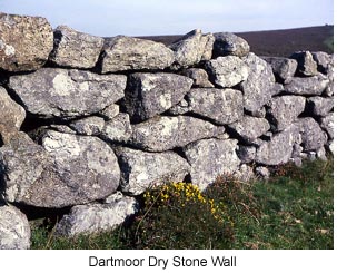 Dartmoor Stone Wall