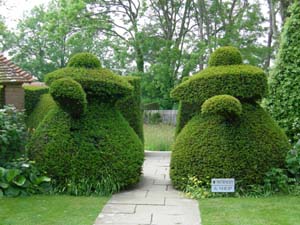 Coffeepot Topiary