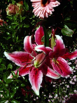 Chichester Cathedral Flower Festival