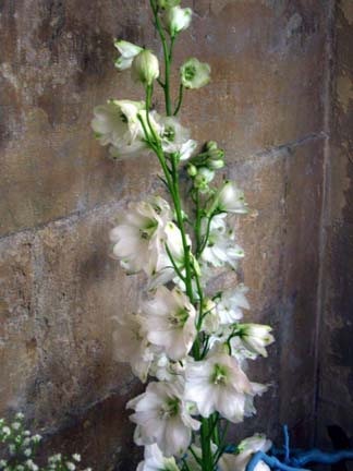 Chichester Cathedral Flower Festival