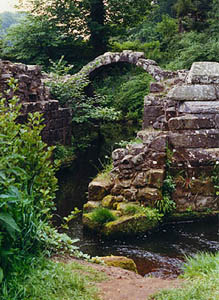 Fountains Abbey